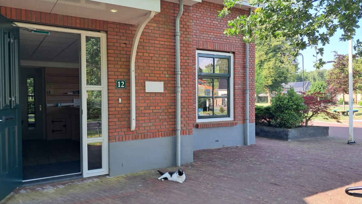 Nieuw links in het pand